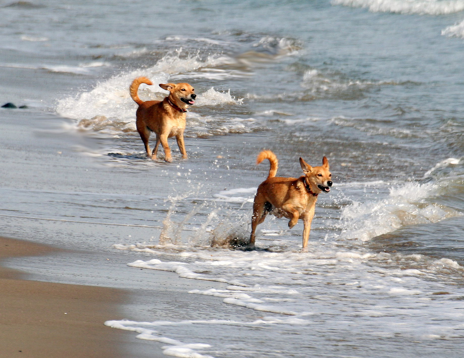 Beach Life